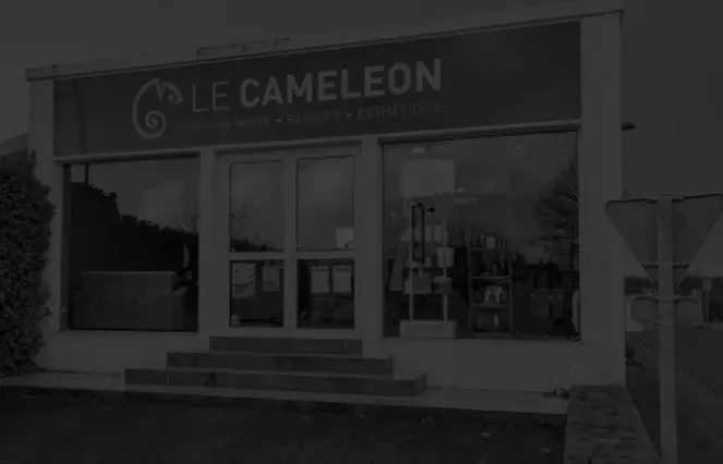 Salon de Saint-Thonan